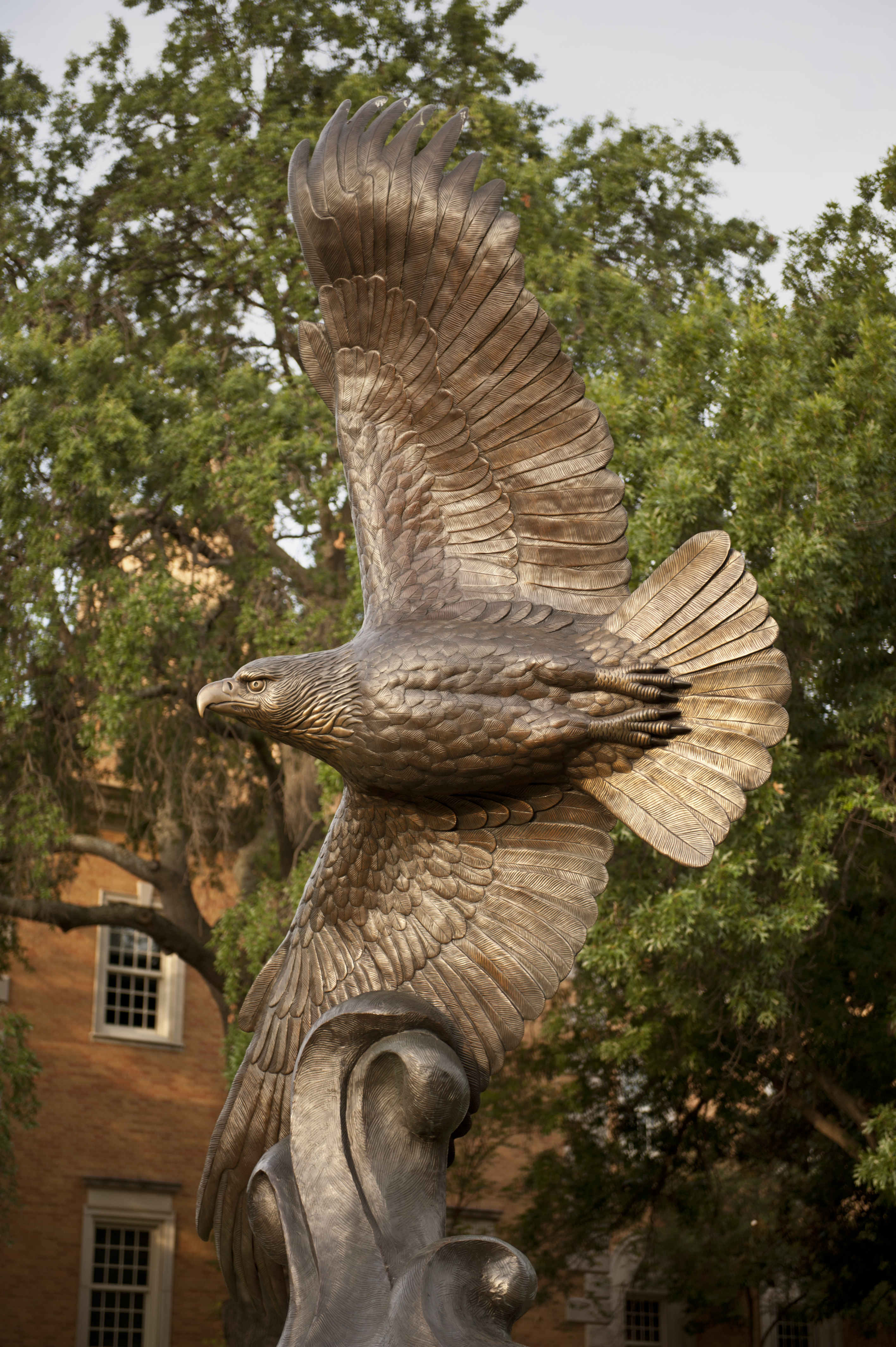 UNT Eagle Statue
