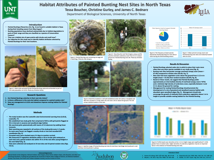 Habitat Attributes of Painted Bunting Nest Sites in North Texas