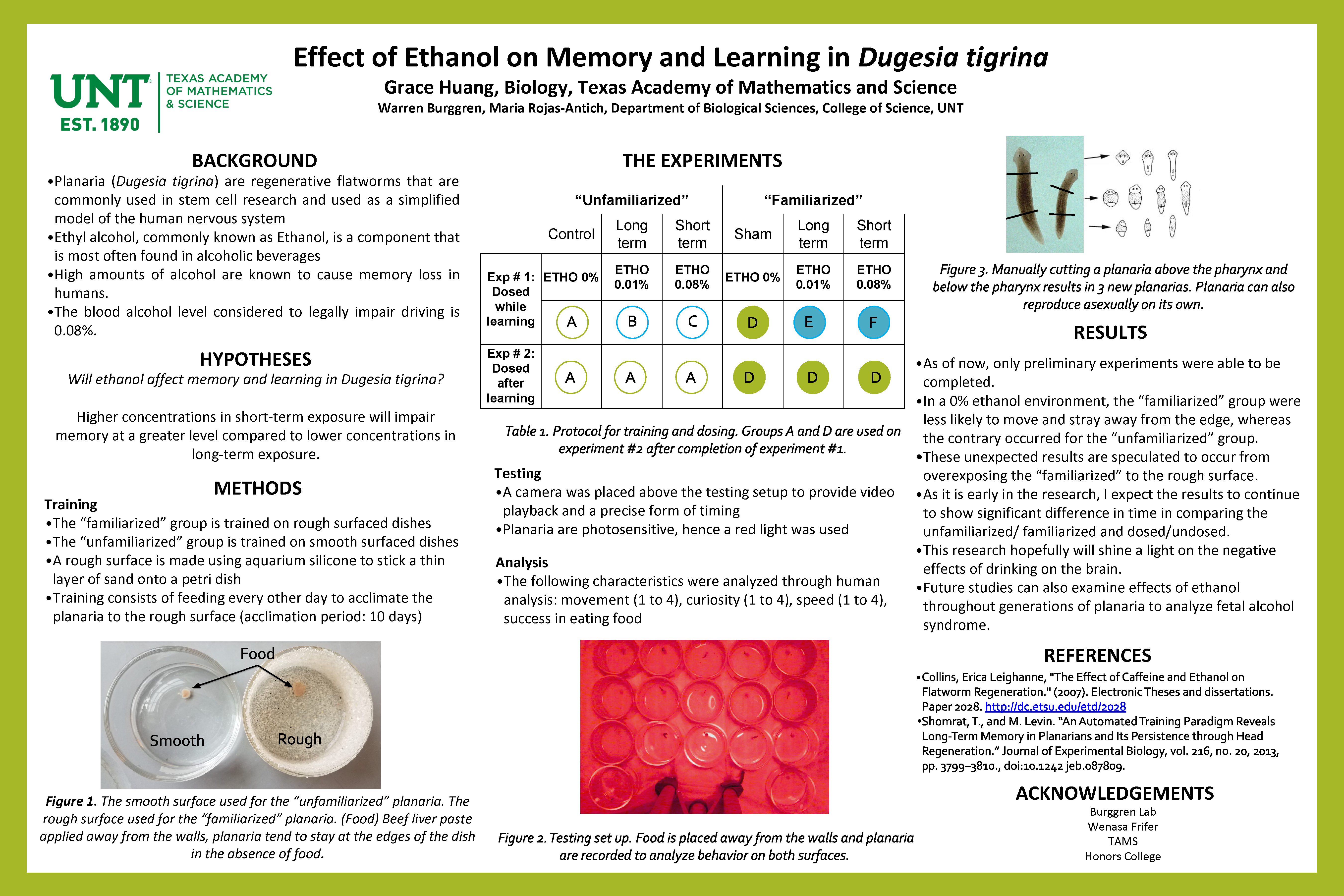 Effect of Ethanol on Memory and Learning in Dugesia tigrina