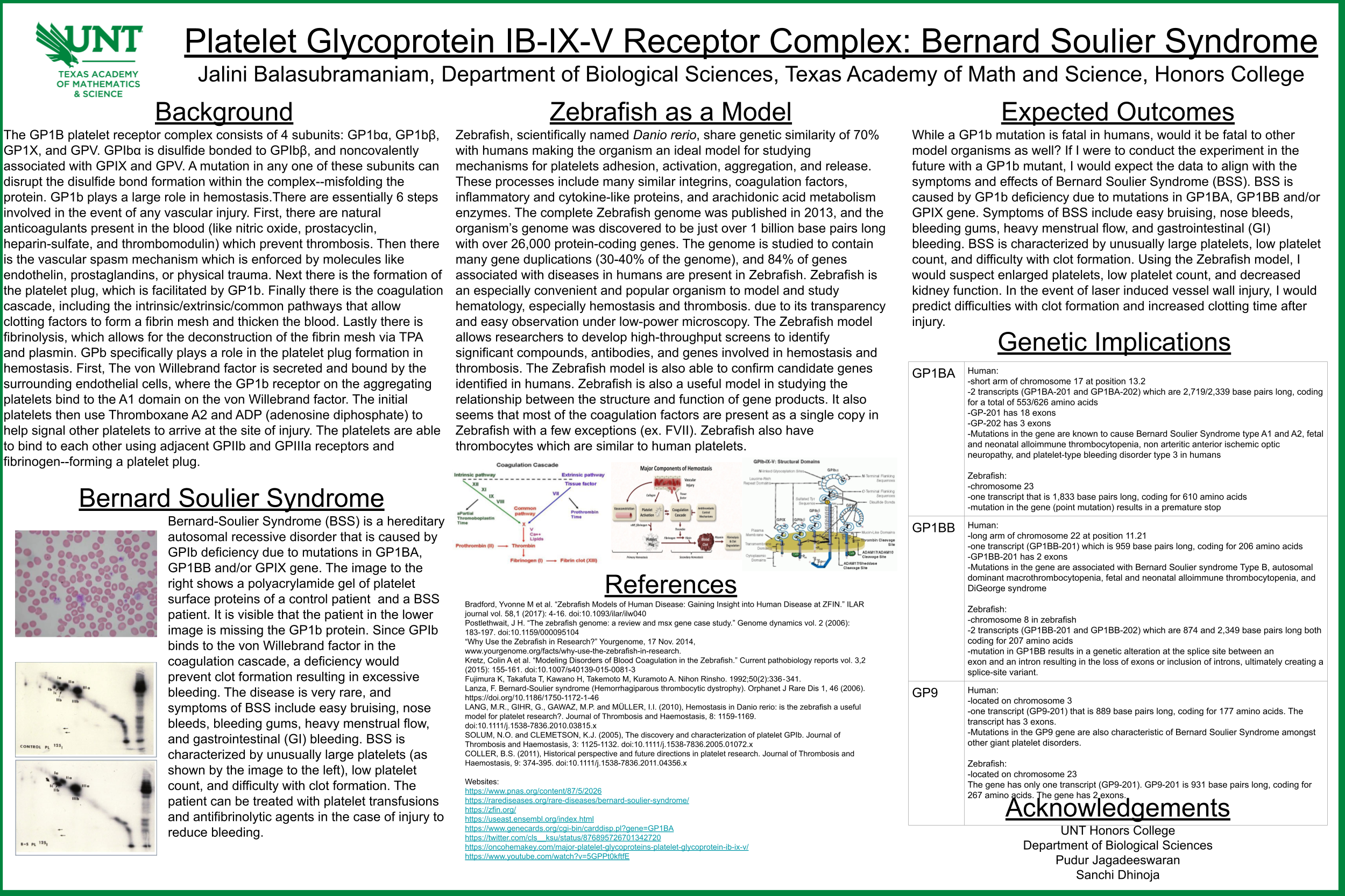 Platelet Glycoprotein IB-IX-V Receptor Complex: Bernard Soulier Syndrome