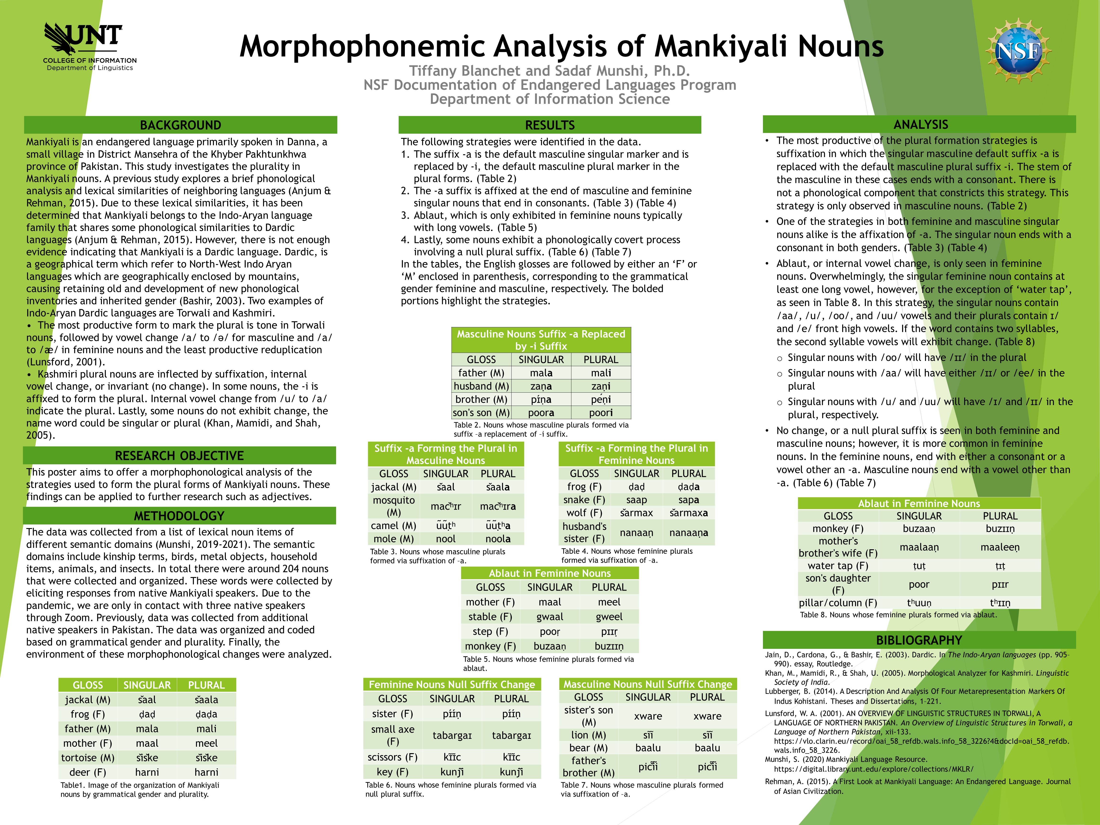 Morphophonemic Analysis of Mankiyali Nouns