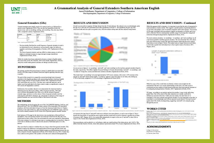 A Grammatical Analysis of General Extenders in Southern American English