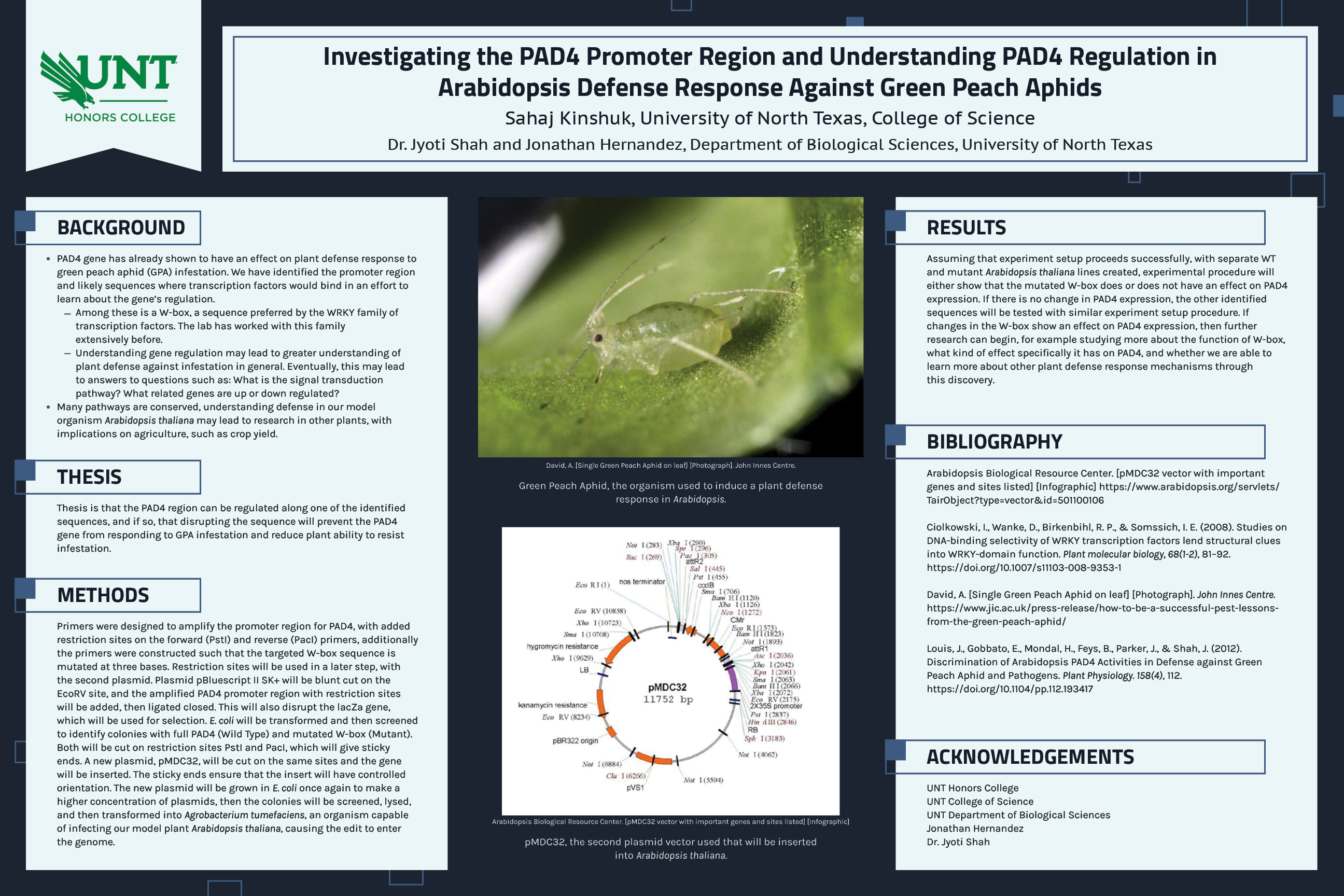 Investigating the PAD4 Promoter Region and Understanding PAD4 Regulation in Arabidopsis Defense Resp