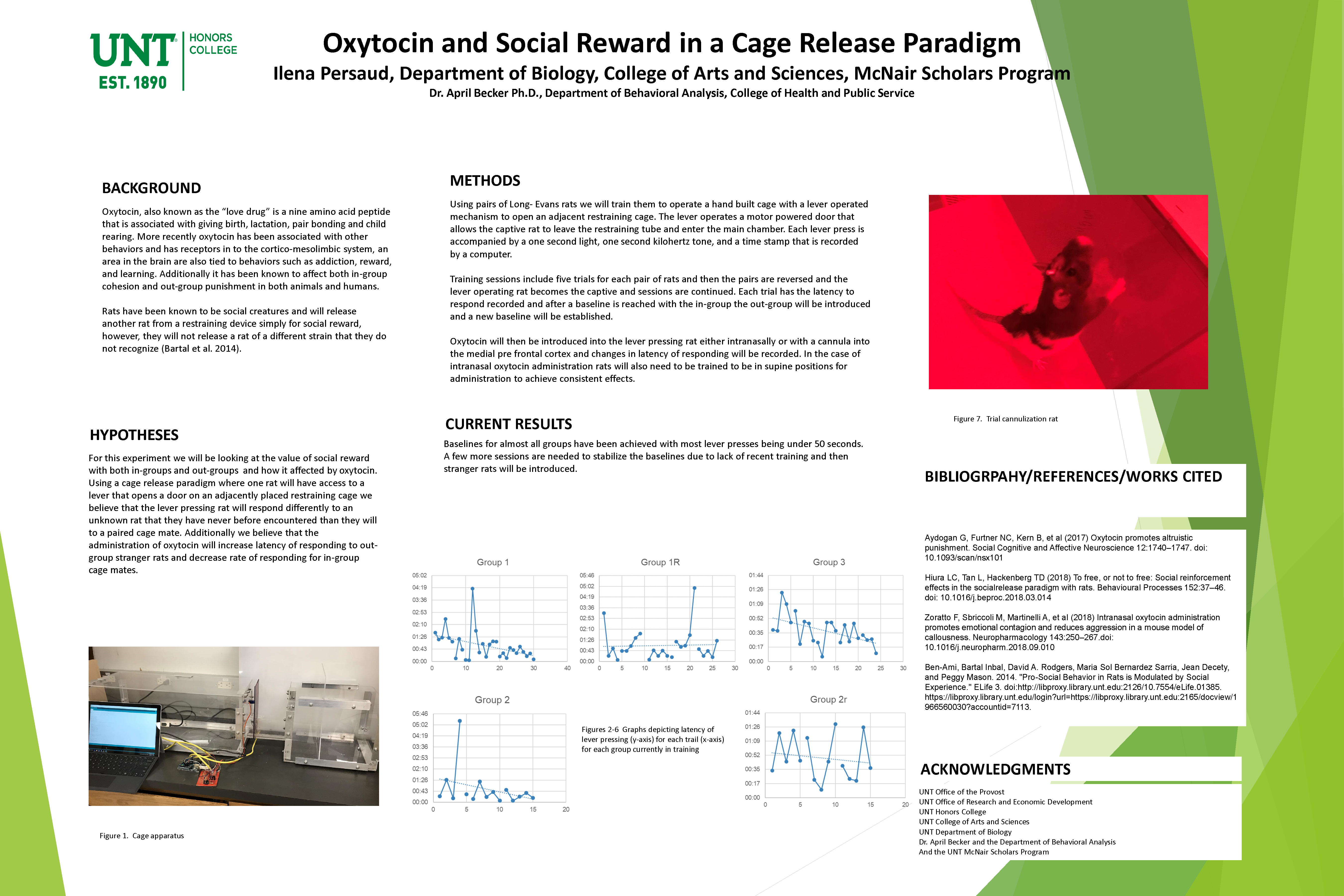 Oxytocin and Social Reward in a Cage Release Paradigm