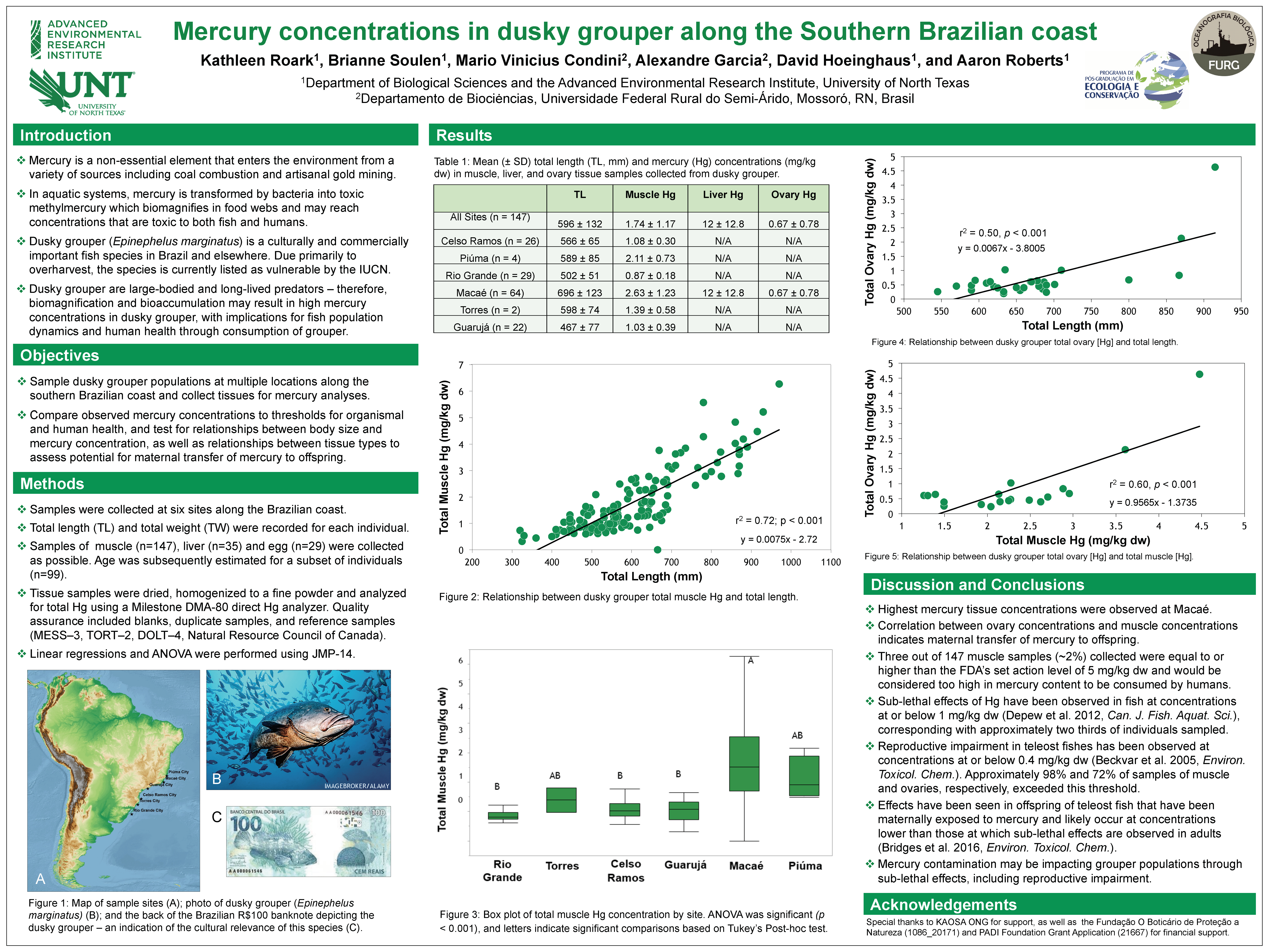 Mercury concentrations in dusky grouper along the Southern Brazilian coast