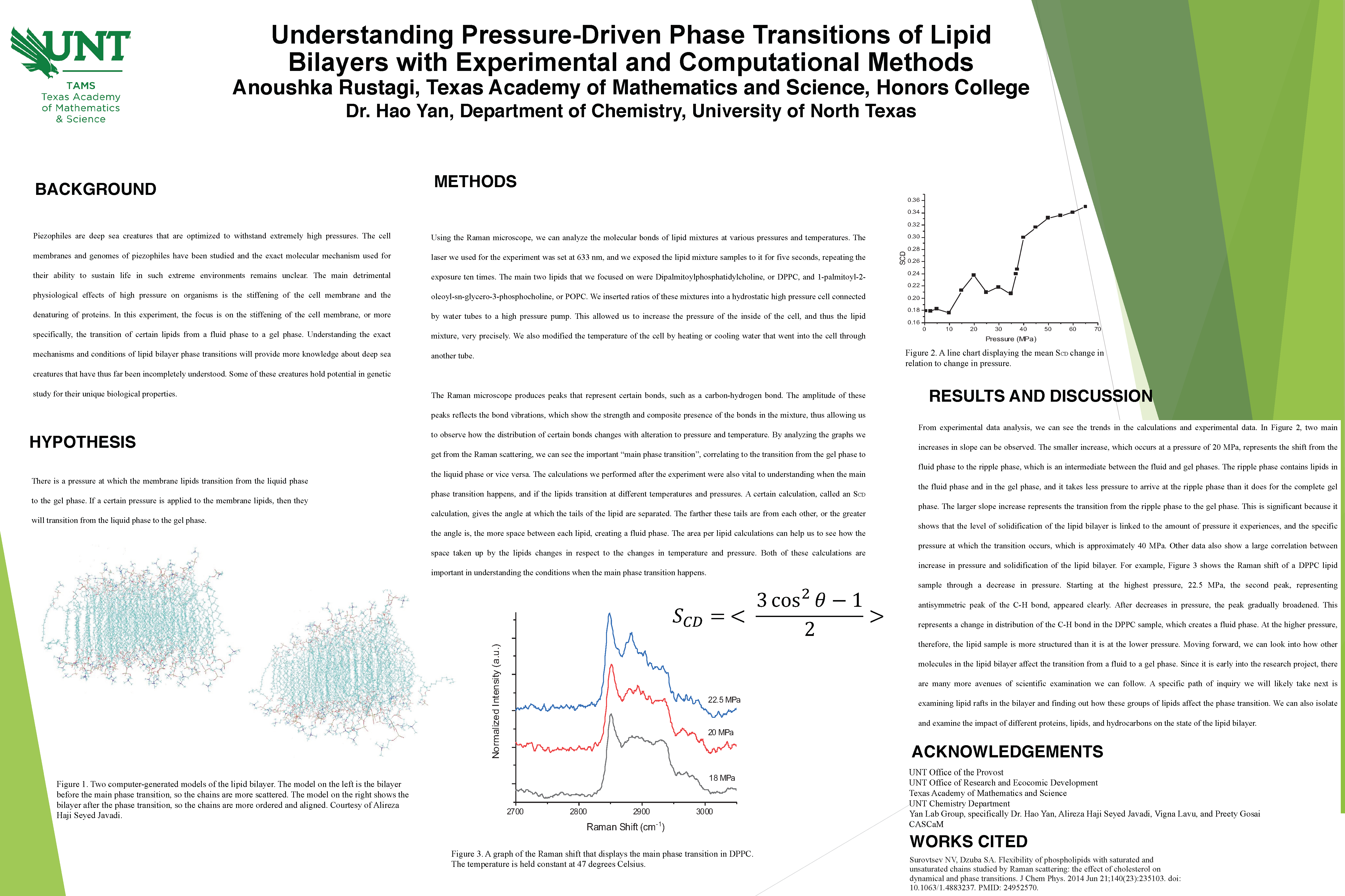Understanding Pressure-Driven Phase Transitions of Lipid Bilayers with Experimental and Computationa