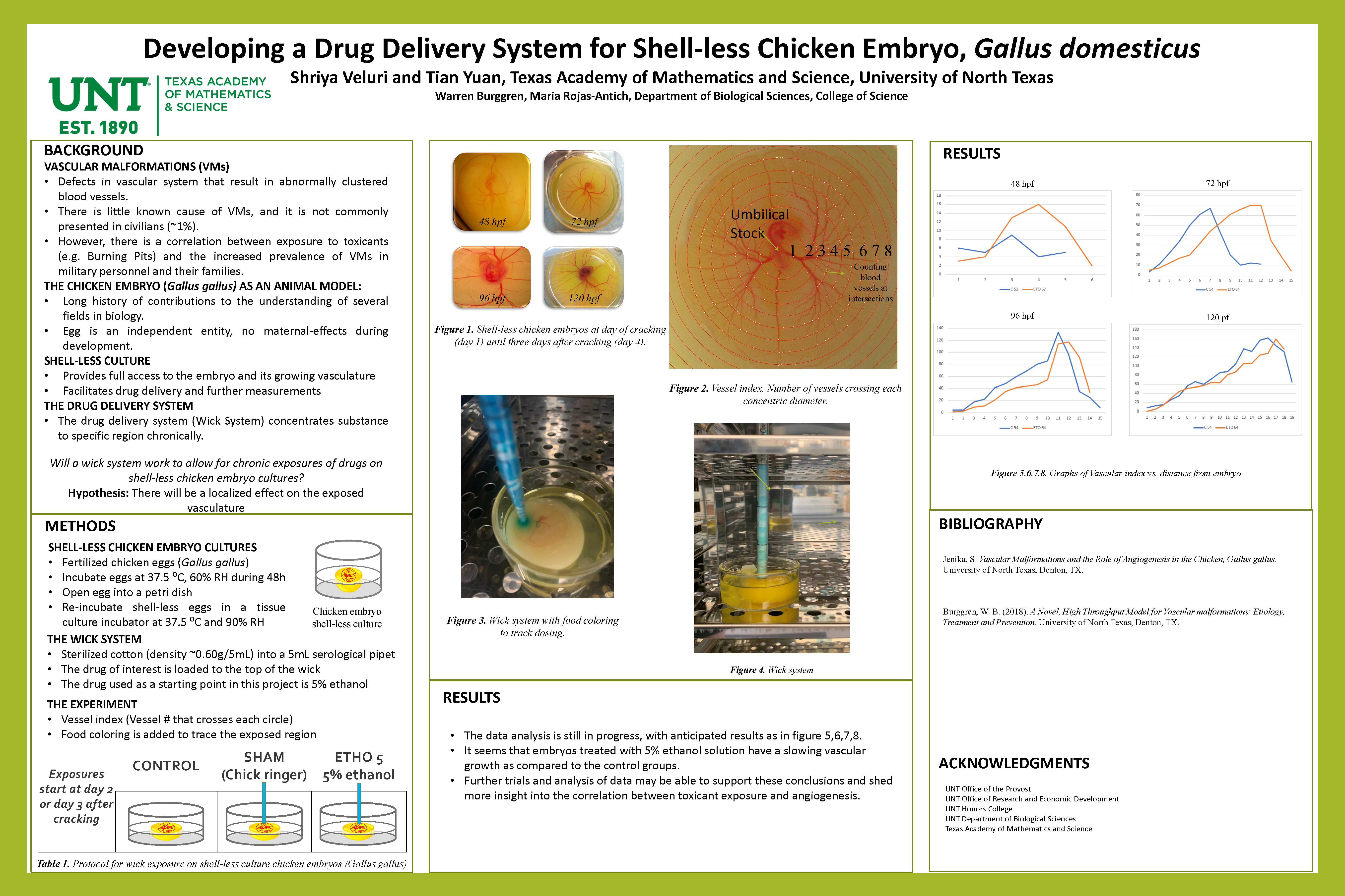 Developing a Drug Delivery System for Shell-less Chicken Embryo, Gallus domesticus
