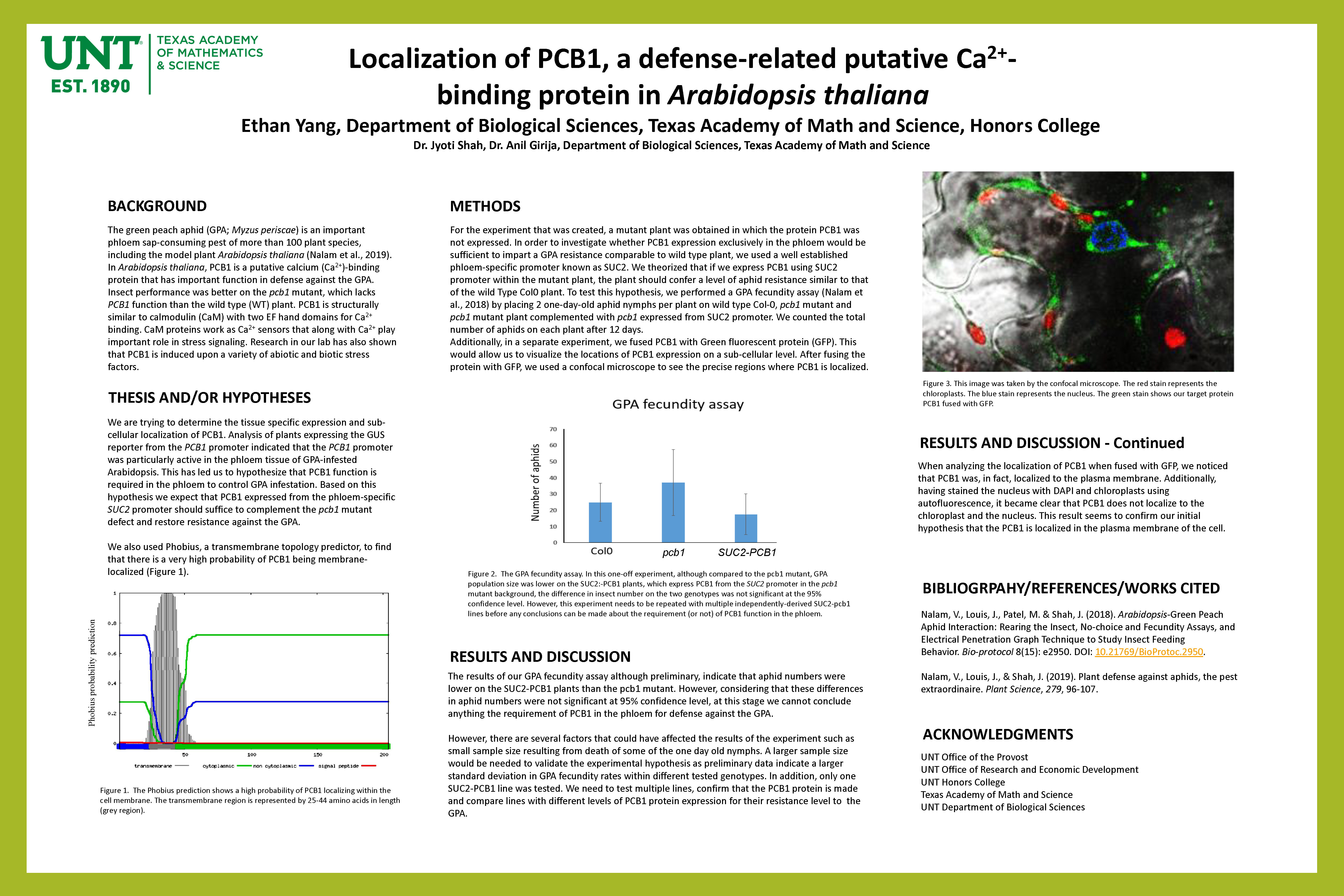 Localization of PCB1, a defense-related putative calcium-binding protein in Arabidopsis thaliana