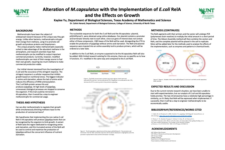 Alteration of M.capsulatus with the Implementation of E.coli RelA  and the Effects on Growth