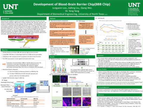 Development of Blood Brain Barrier Chip