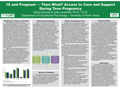 16 and Pregnant — Then What? Access to Care and Support During Teen Pregnancy