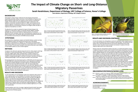 The Impact of Climate Change on Short- and Long-Distance Migratory Passerines