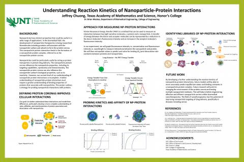 Understanding Reaction Kinetics of Nanoparticle-Protein Interactions