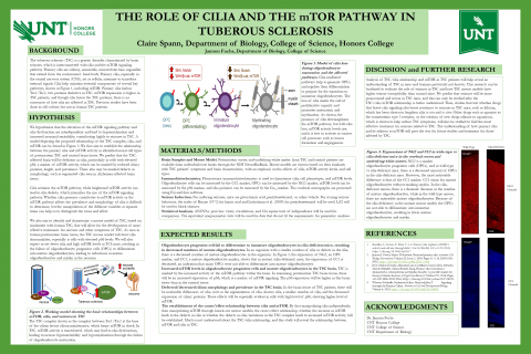 The Role of Cilia and the mTOR Pathway in Tuberous Sclerosis