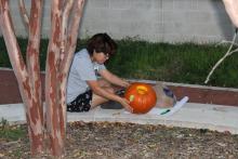 Student carving pumpkin by a tree