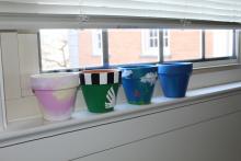 Several pots siting on the window seal